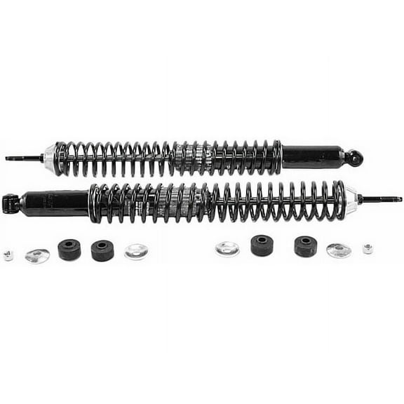 Rear Shock Absorber and Coil Spring Assembly - Compatible with 1997 - 2003 Ford F-150 4WD 1998 1999 2000 2001 2002