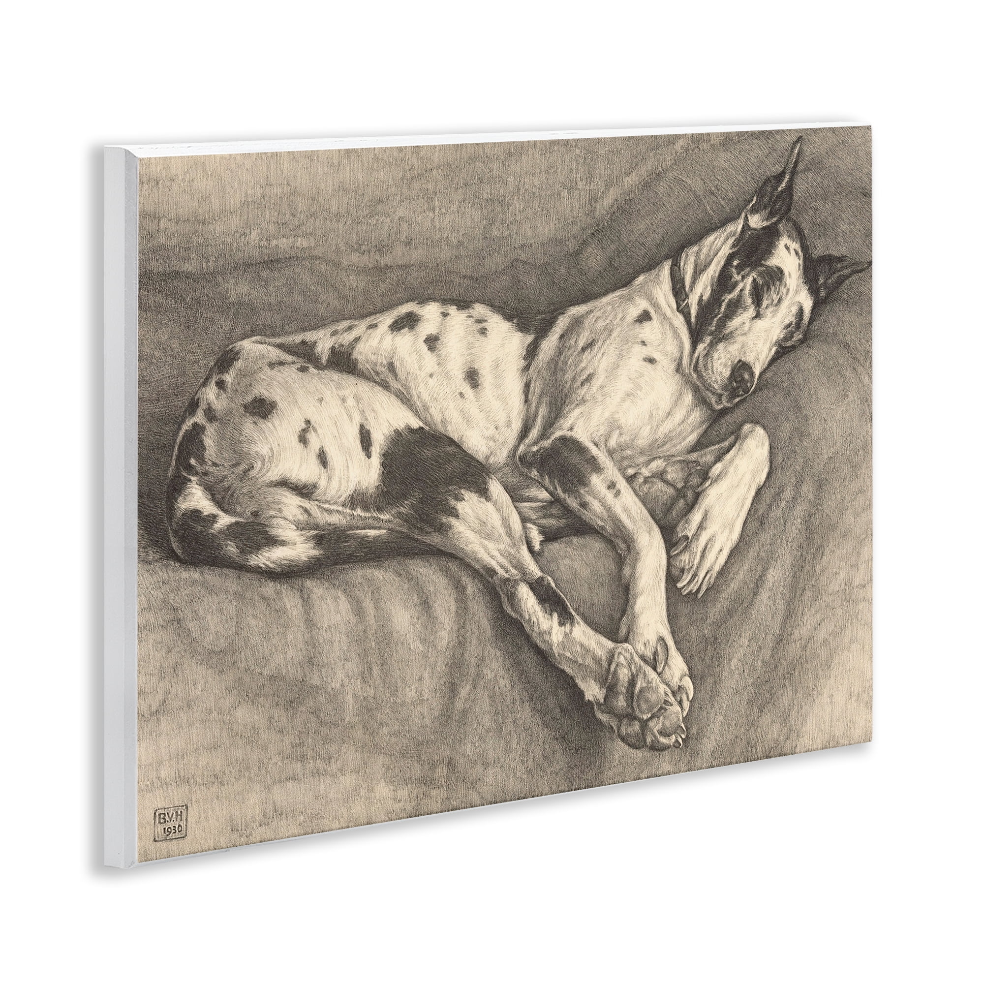 Stupell Industries Sleeping Hound Drawing Wall Plaque Art, design by Bertha Van Hasselt