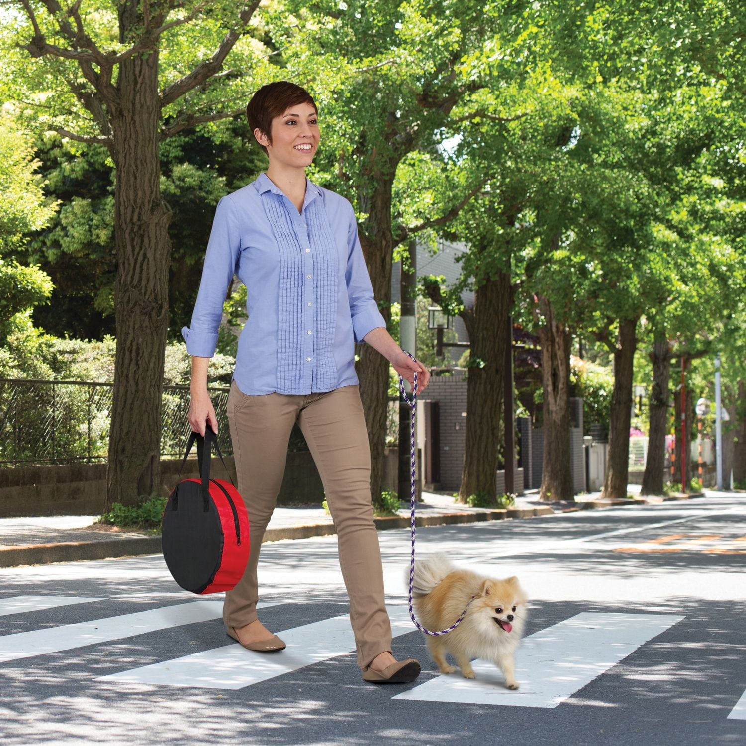 KidCo Command™ Portable Pet Bed