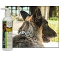 thumbnail image 4 of UltraCruz® Canine Pure Salmon Oil, 8 oz, 4 of 5
