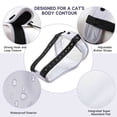 thumbnail image 2 of Paw Legend Cat Diapers for Female Cats Diaper for Male Cat Spraying Washable Reusable Kitten Diapers for Cats Incontinence Pet Diapers (3 Pack, Large), 2 of 7