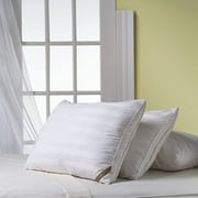 Canopy Down Alternative Firm Pillows, Set of 2