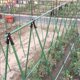thumbnail image 5 of Pilares De Toldo, Soporte Para Plantas De Vid Trepadora, Varilla De Soporte Para Plantas Duradera Y Firme Inevent HA043079-03, 5 of 6