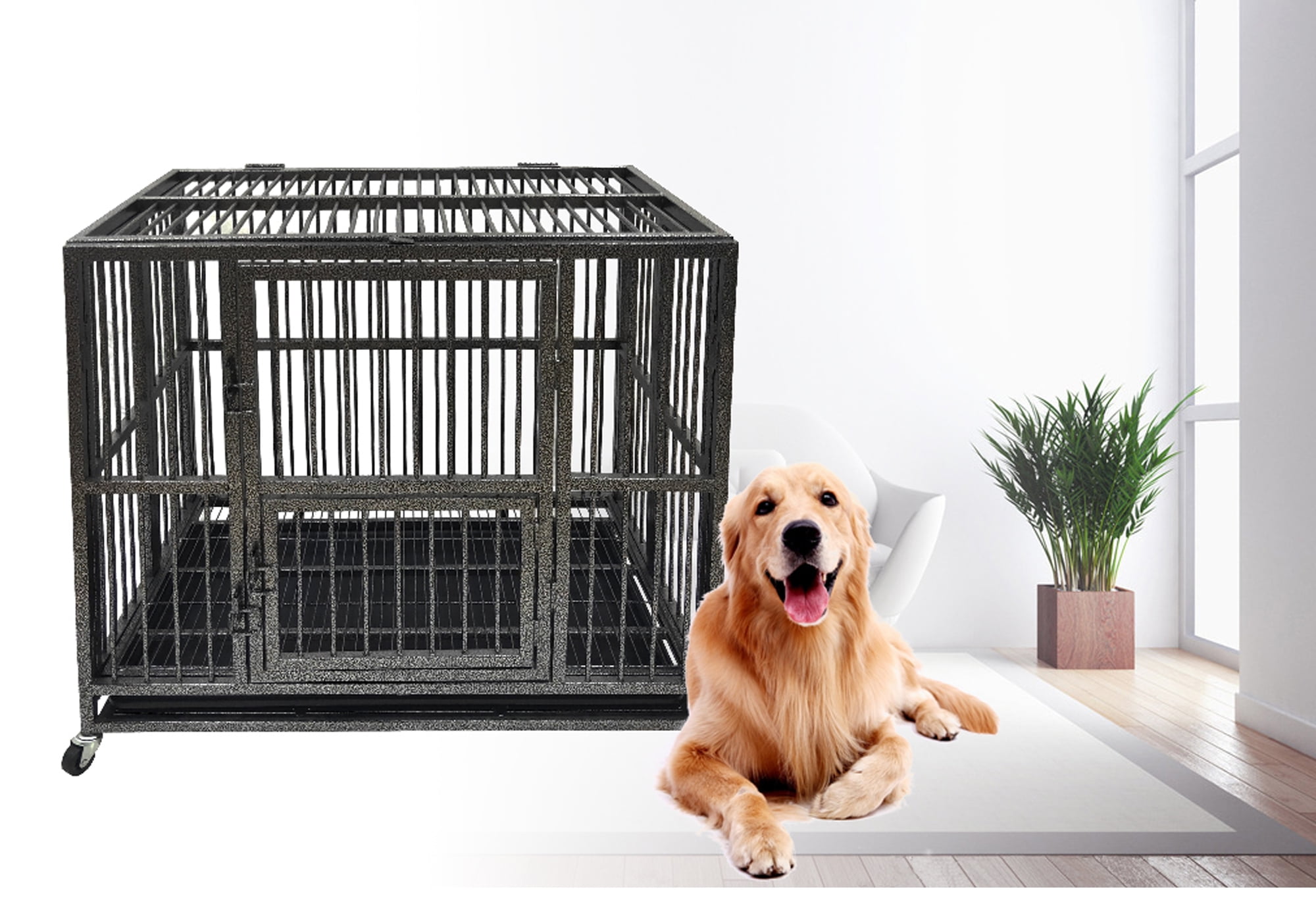medium dog crate walmart