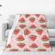 thumbnail image 1 of Balery Hand Drawn Watermelon Manta de Felpa Suave y Acogedora – Cobija de Franela Aterciopelada para Cama, Lavable y Cálida para Sofá, Mascotas, Transpirable-80"x60", 1 of 7