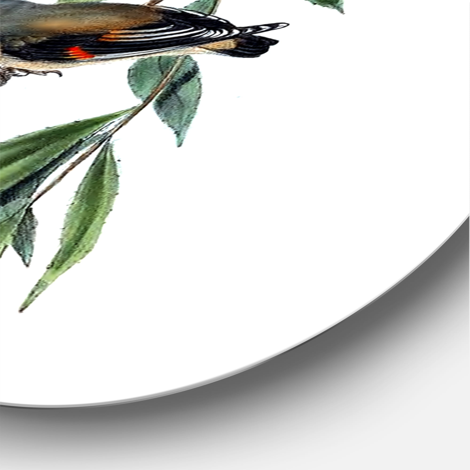 Designart 'Ancient Bird III' Traditional Circle Metal Wall Art 36x36 - Disc of 36