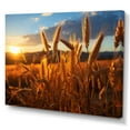 thumbnail image 2 of Designart "Country beauty Golden Harvest" Landscapes Wall Decor, 2 of 5