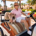 thumbnail image 3 of Golf Cart Seat Covers for 2 Seater, Burnt Orange Brown Soft Microfiber Cart Seat Towel Blanket, Farmhouse Vintage Wooden Absorbent Breathable Non Slip Bench Seats Protector for Golf Course 51"x31", 3 of 9