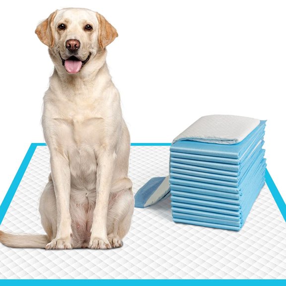 Dog Pee Pads Extra Large 28"x34", X-Large Training Puppy Pee Pads Super Absorbent & Leak-Proof, XL Disposable Pet Piddle Pad and Potty Pads for Dogs, Puppies, Doggie (XLarge:28"*34"-40 Ct)