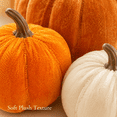 thumbnail image 2 of Velvet Pumpkin Decor, 6/8/10cm Foam Fabric Pumpkin Fall Decorations for Thanksgiving Halloween Home Table Mantel Centerpiece, 2 of 6