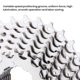 thumbnail image 5 of MEROCA 8 velocidades Cassette Flywheel 11-28T Bike Freewheel Sprocket Accesorio de repuesto para bic MEROCA Volante, 5 of 5