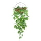 thumbnail image 1 of Plantas Artificiales Hojas De Tortuga Ratán Plástico Para Exteriores Plantas Para Colgar En La Pared Cestas Para Interiores Guirnalda Para Bodas 1 Unidad, 1 of 8