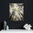 thumbnail image 4 of JEUXUS Forest Wall Art Large Grey Tree Pictures Black and White Gray Canvas Prints Hand Painted Oil Paintings Gold Leaf Framed Nature Artwork Vertical Home Decor for Living Room 16x20 inch, 4 of 4
