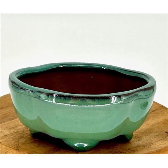 Bonsai Boy of   York L146 5.25 x 4.0 x 2.25 in. Ceramic Bonsai Pot, Light Green