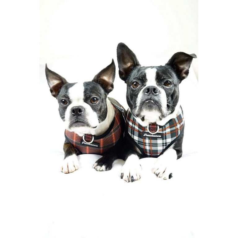 French Bulldog Harness, Versatile Health Harness