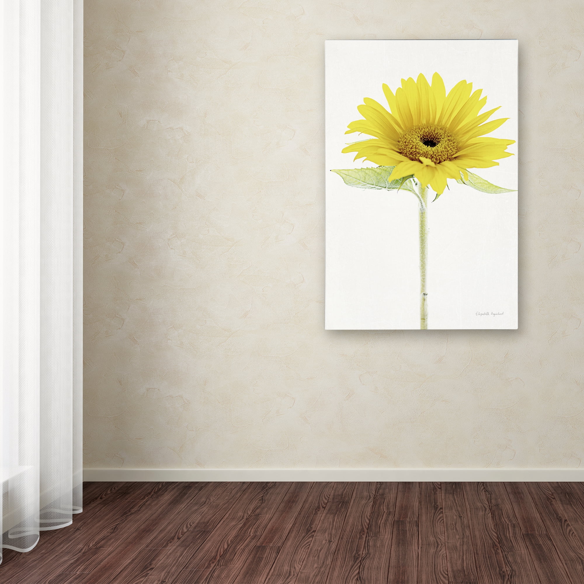 Trademark Fine Art 'Light and Bright Floral VIII' Canvas Art by Elizabeth Urquhart