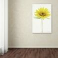 thumbnail image 3 of Trademark Fine Art 'Light and Bright Floral VIII' Canvas Art by Elizabeth Urquhart, 3 of 3