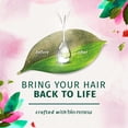 thumbnail image 3 of Herbal Essences Bio:Renew Daily Cleanse White Strawberry & Sweet Mint Shampoo 13.5 fl. oz. Bottle, 3 of 7