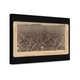 thumbnail image 1 of Canvas Print: Pineapple Plantation On Indian River, Fla., U.S.A., 1893, 1 of 3