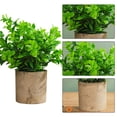 thumbnail image 3 of Planta de simulación bonsái decoración del hogar sala de estar decoraciones pequeñas flores frescas en macetas simulación flores falsas, 3 of 5