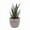 F, variant on Artificial Succulent Plants Potted, Assorted Decorative Faux Succulent Potted Fake Cactus Cacti Plants with Pots