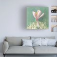 thumbnail image 3 of Danhui Nai 'Soft Crocus' Canvas Art, 3 of 4