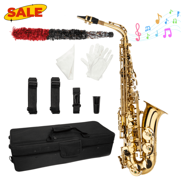 Hassch Eb Alto Brass Saxophone for Beginners with Case, Reed, Aglet, Gloves, Mouthpieces and Cleaning Cloth, Golden