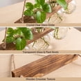 thumbnail image 4 of Indoor Wall Planter Hanging Wall Mounted Plant Holder Clear Glass Vase Propagation Station Home Wall Decor for Living Room Bedroom Bathroom Office, 4 of 6