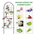 thumbnail image 6 of 78.7"Wx 19.7"H Rustproof Trellis for Climbing Plants Outdoor Flower Support Black, 6 of 7