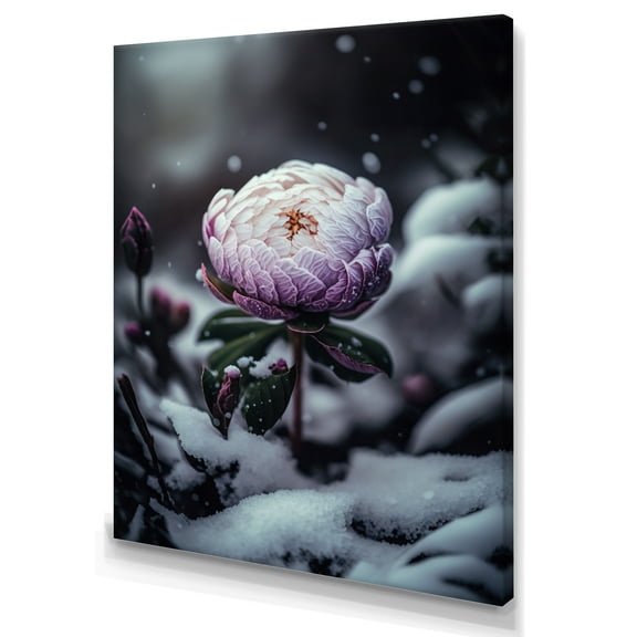 Designart A Blooming Puple Peony Flower In Winter II Canvas Wall Art
