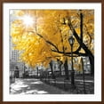thumbnail image 2 of Art.com Park Pretty II Photographic Print by Assaf Frank, Brown Frame Wall Art, 29" x 29", 2 of 5