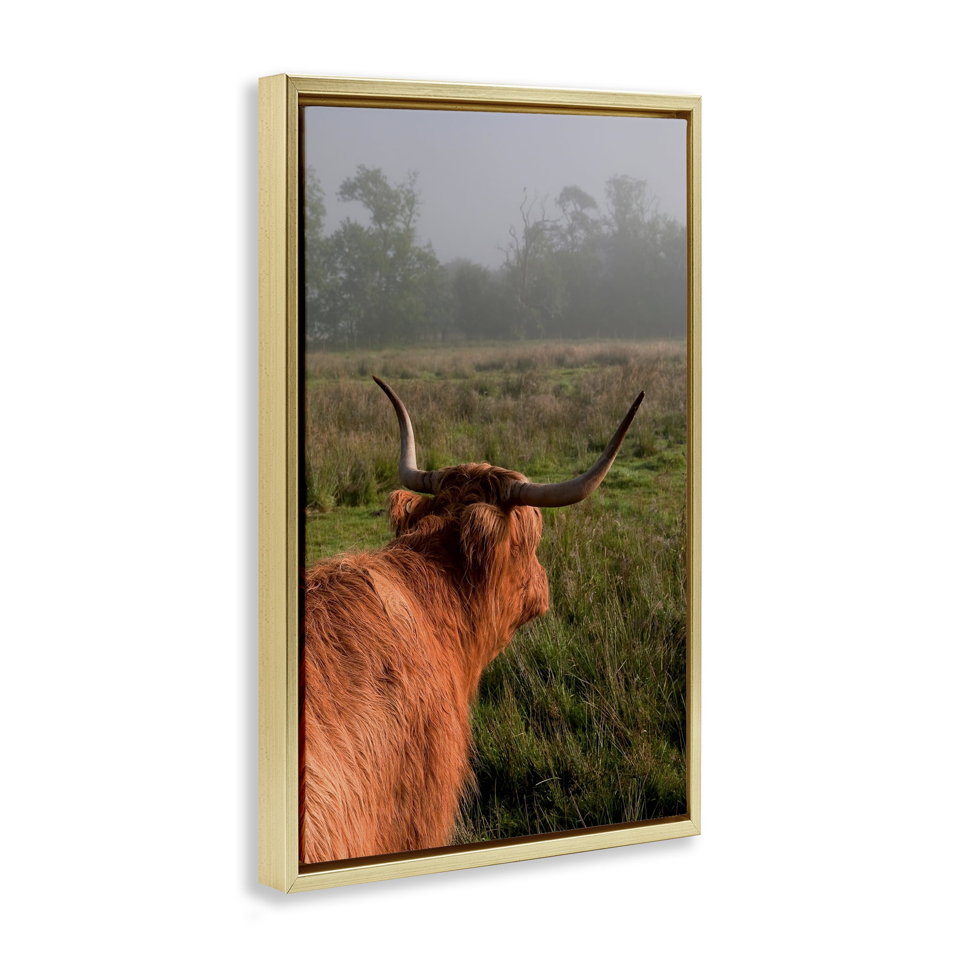 Highland Cow Gazing Out Gold Framed Floater Canvas Wall Art, design by Jenny Rainbow Fine Art
