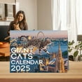 Dakaela 2025 City Cat Calendar Cat Wall Calender Animal Pet Calendar