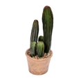 thumbnail image 1 of Vickerman FE192810 10.5 in. Green Potted Cactus Plastic Planter Pot, 1 of 2