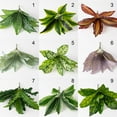 thumbnail image 3 of Ludlz Artificial Plants Leaves Faux Turtle Leaf Fake Tropical Large Palm Tree Leaves Imitation Leaf Artificial Plants for Home Kitchen Party Flowers Arrangement Wedding Decorations, 3 of 8
