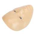 thumbnail image 4 of Cara De Práctica De Maquillaje, Tablero Facial De Práctica De Maquillaje Reutilizable Portátil Seguro De Silicona Simulada Para Aficionados Para Tienda De Cosméticos, 4 of 7