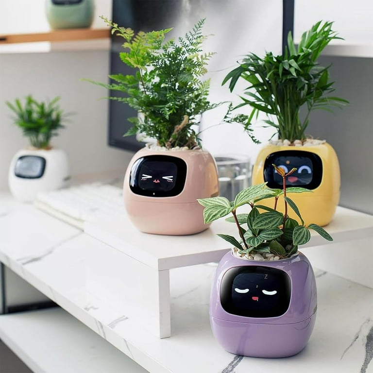 Plantagotchi Planter, AI Smart Plant Pot, Ai Planter Pot, Ivy