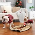 thumbnail image 2 of Demi Bonn Reversible Water Repellent Dog Jacket Pets Apparel Winter Warm Outdoor Sport Dog Coats for Winter Cold Weather Puppy Comfort Vest, Red L, 2 of 10