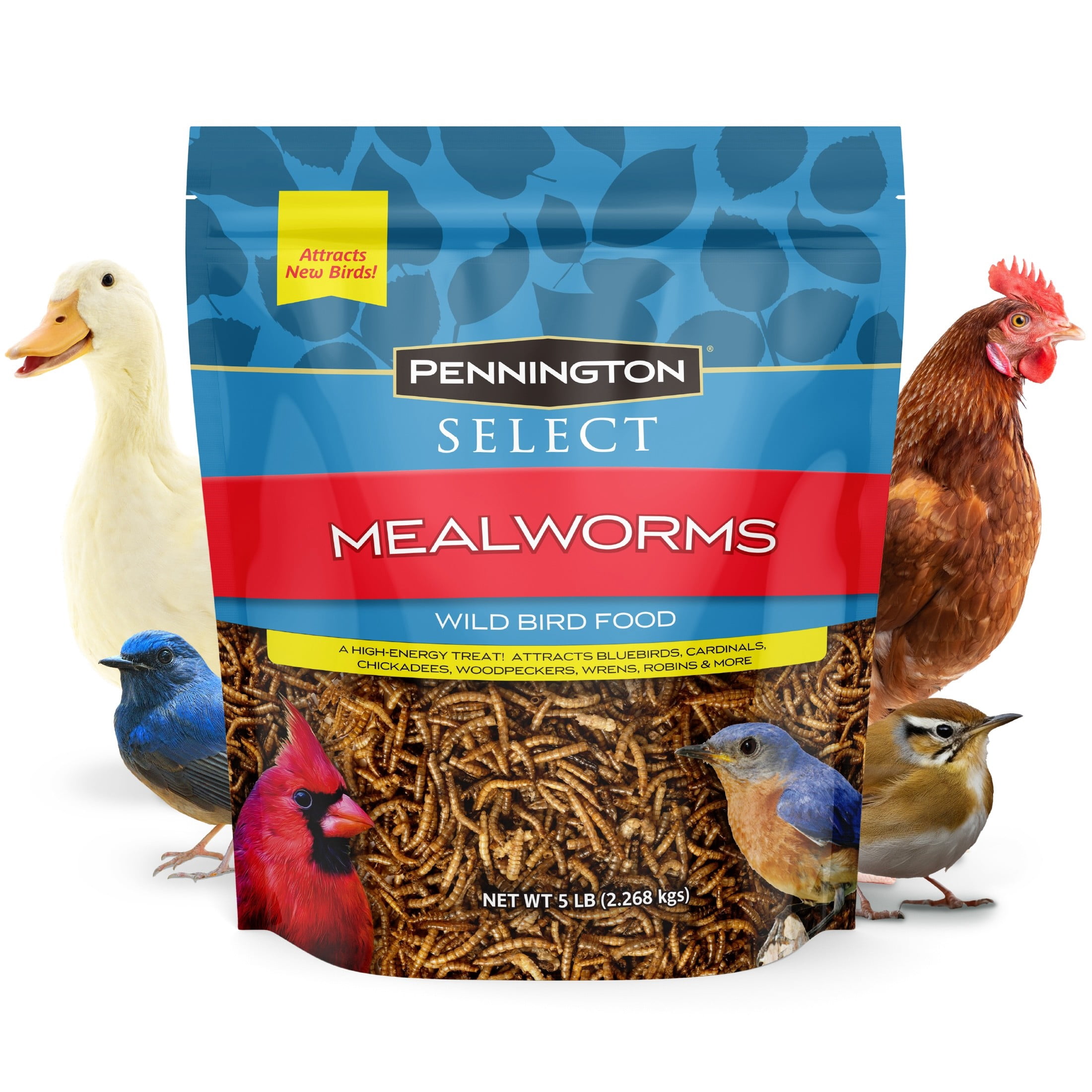 Pennington Select Mealworms, Bluebird and Wild Bird Food, 5 lb. Bag, 1 Pack, Dry