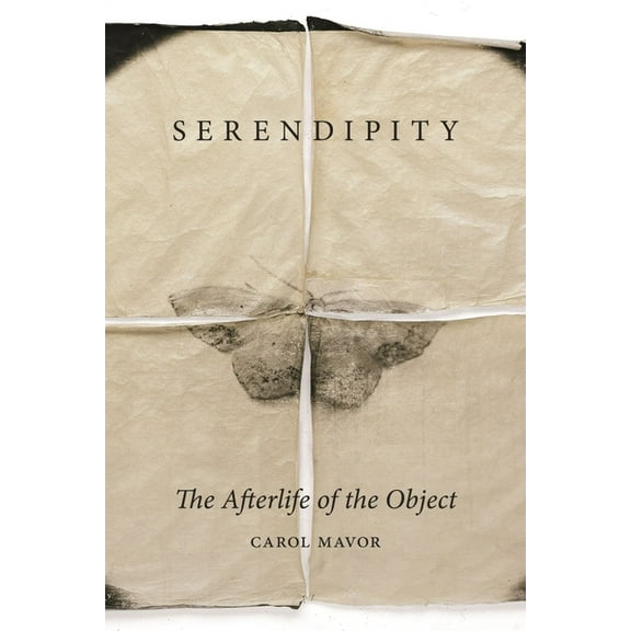 Serendipity: The Afterlife of the Object, (Hardcover)