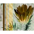 thumbnail image 3 of Simons 24x20 Black Modern Framed Museum Art Print Titled - Desert Flower, 3 of 5