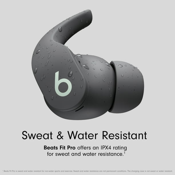 Beats Fit Pro グレイ × ミント 防塵ケース付き Beats Fit Pro Replacement - Sage Gray Case – Replacement Bud
