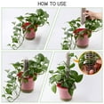 thumbnail image 3 of Billuyoard Paquete de 2 palos de esfagno para plantas trepadoras, soporte de extensión apilable, accesorios para pinchos de tierra para Jardín y Patio, 3 of 6