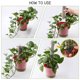 thumbnail image 4 of Yuarrent 2 piezas de soporte de palo de poste de planta trepadora accesorios para interiores y exteriores Jardín y Patio, 4 of 6