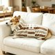 thumbnail image 3 of Perro Mascota Bata de Baño Toalla Absorbente de Vellón Engrosado con Diseño de Rayas, Múltiples Tallas para Razas Pequeñas a Grandes, 3 of 5