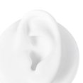 thumbnail image 4 of Silicone Ear Model Multipurpose Durable for Practicing Teaching Instructions Left, 4 of 8