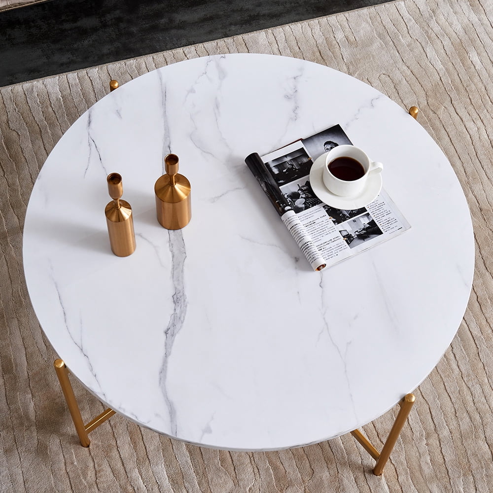Private Jungle 32" Modern Round Coffee Table, Side End Table with Golden Color Frame and Wood Top