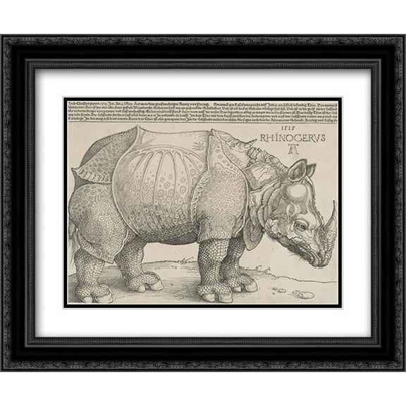 Rhinoceros 2x Matted 18x16 Black Ornate Framed Art Print by Albrecht Durer