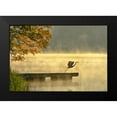 thumbnail image 1 of Zhang, Eric 24x18 Black Modern Framed Museum Art Print Titled - Morning flight, 1 of 4