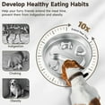thumbnail image 7 of Stainless Steel Slow Feeder Pet Bowl | Large Capacity 23x23cm | Thickened Durable Non-Slip Chew-Resistant Food Water Dish | Silvery | For Dogs & Cats | Easy Clean | 1 Pack, 7 of 7